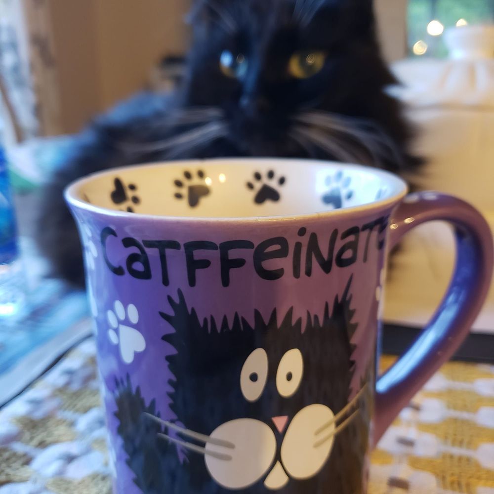 Meet your Posher, Erin